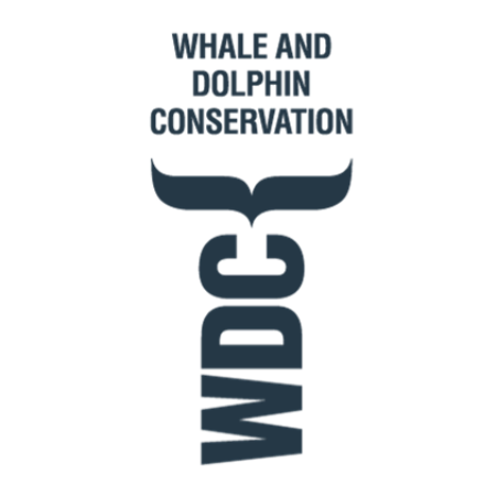 WDC, Whale and Dolphin Conservation